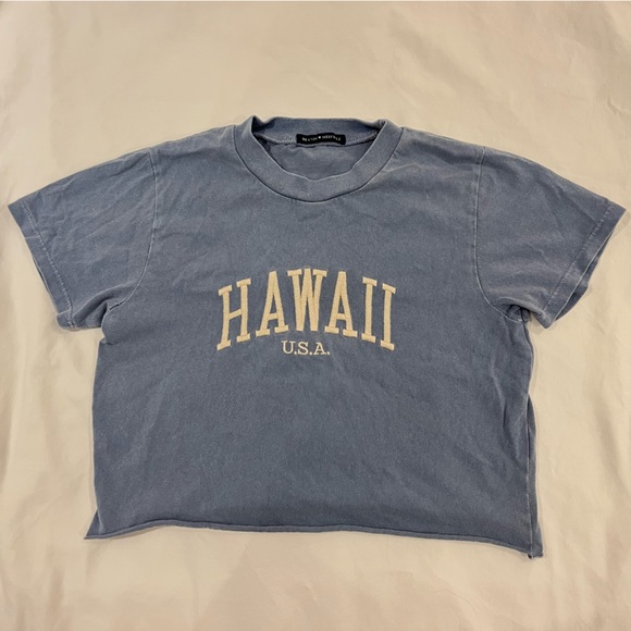 Brandy Melville Hawaii Cropped Tee, one size, blue colour - Picture 1 of 4